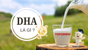 DHA là gì