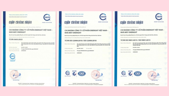 chứng nhận ISO Eneright