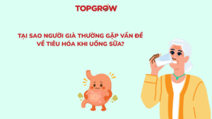 Tại sao người lớn tuổi thường gặp vấn đề về tiêu hóa khi uống sữa?