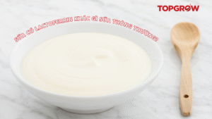 Sữa có Lactoferrin khác gì sữa thông thường?